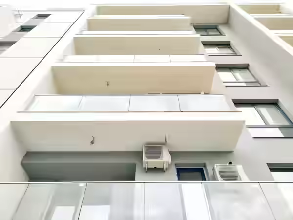 Neofort 56 Pallady Titan