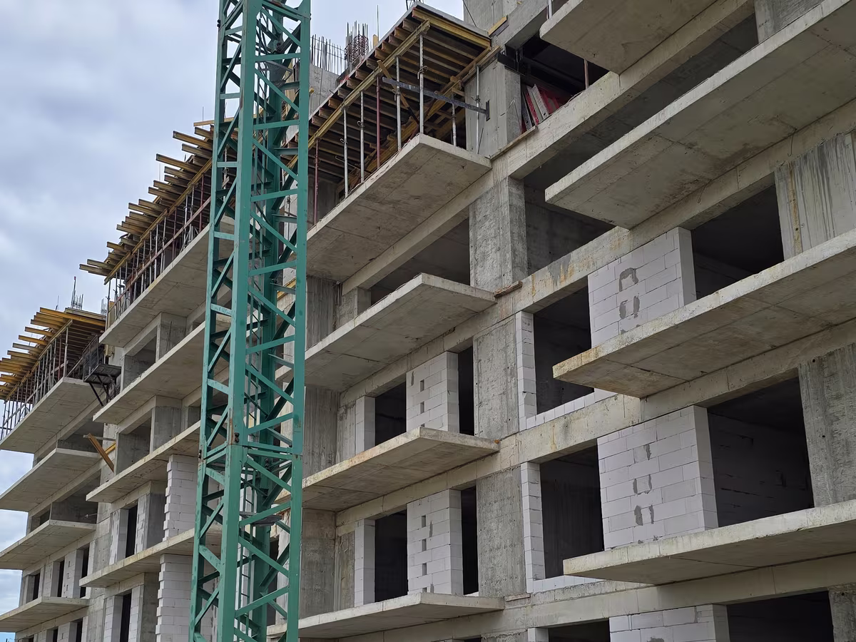 Neofort 84 Titan Pallady foto 4
